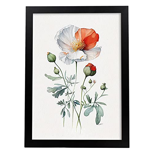 Nacnic Mohn 2 Poster im nordischen Stil. Botanik Illustrationen mit Blumen und Pflanzen im Wasserfarbe. Innenarchitektur und Dekoration. A4. von Nacnic