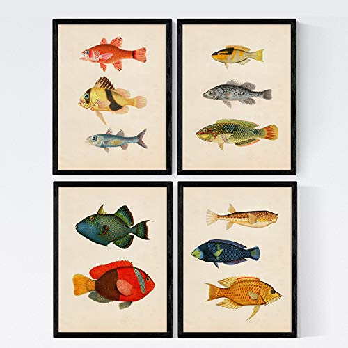 Nacnic Premium-Set mit 4 Postern mit schönen Fischen | Bilderblätter mit Illustrationen der Meereswelt | Fisch auf Vintage-Papierhintergrund / A4-Format (21x29,7cm) ohne Rahmen / von Nacnic