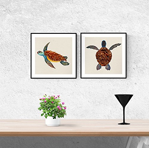 Nacnic Quadratische Bunte Poster Set von Schildkröten. Wanddeko Bilder von Tiere für eine bunte Note in Ihrem Haus, Büro, Geschäfte ... Größe 20x20 cm, rahmenlos. von Nacnic