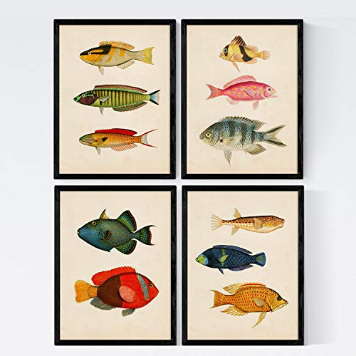 Nacnic Set 4 Blatt Fisch Jahrgang bunten Effekt. Molukken. Zusammensetzung von 11 verschiedenen Fischen in A3-Format, Hintergrund Altpapier Jahrgang Posterpapier 250 gr hohe Qualität. Frameless von Nacnic