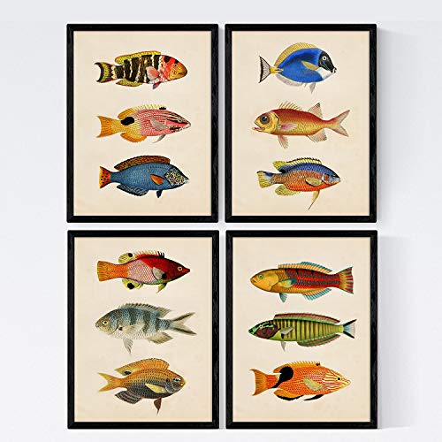 Nacnic Set mit 4 Fischpostern Vintage-Stil. Liebe Vintage-Stil Wanddekoration Illustration. Poster ohne Rahmen. A4-Format von Nacnic