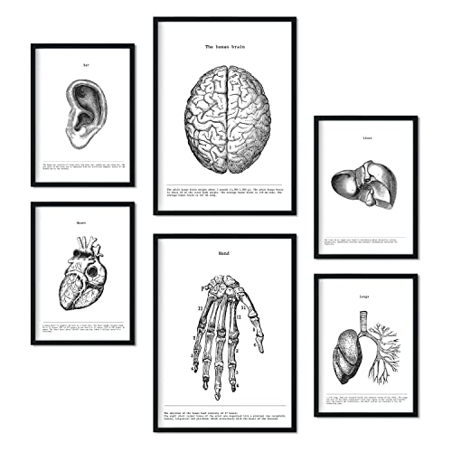 Nacnic Set von 6 Poster Belies. Sammlung von Platten mit ästhetischer Collage für Innendekoration. Größen A3 und A4. Rahmenlos von Nacnic