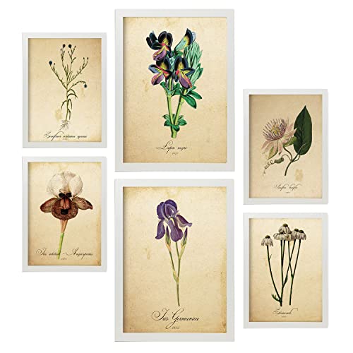 Nacnic-Set von 6 Vintage-Blumen-Poster. Sammlung von Platten mit ästhetischer Collage für Innendekoration. Größen A3 und A4. Mit weißem Rahmen. von Nacnic