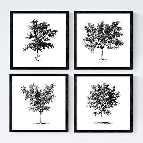 Nacnic Set von Vier Blättern der Bäume. Bäume mittlerer Größe 30x30 cm, weiß Poster Papier 250g und qualitativ hochwertige Tinten. Frameless von Nacnic