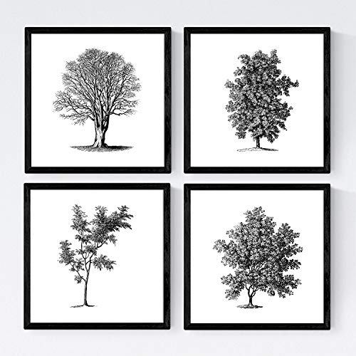 Nacnic Set von vier Blättern der Bäume. Bäume mit und ohne Blattgröße 30x30 cm, weiß Poster Papier 250g und qualitativ hochwertige Tinten. Frameless von Nacnic