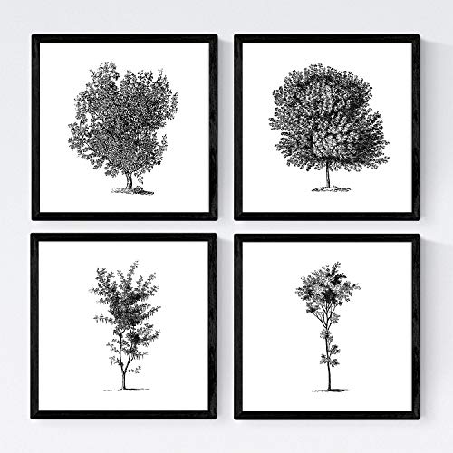 Nacnic Set von Vier Blättern der Bäume. Baumstämme in der Größe 30x30 cm, Poster Papier Hintergrund 250g und hohen Qualitäts-Farben variieren. Frameless von Nacnic