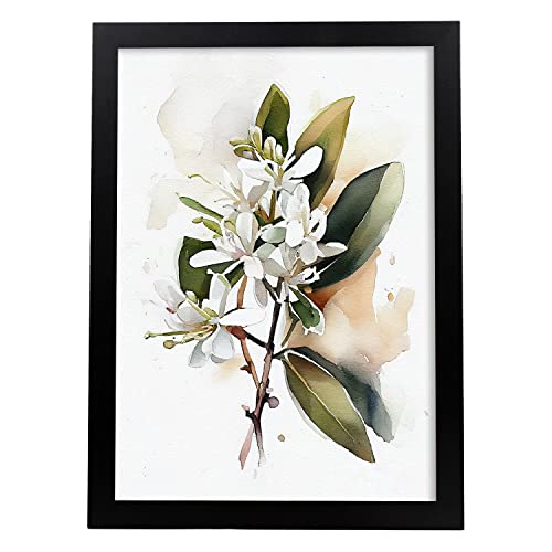 Nacnic Stephanotis Poster im nordischen Stil. Botanik Illustrationen mit Blumen und Pflanzen im Wasserfarbe. Innenarchitektur und Dekoration. A3. von Nacnic