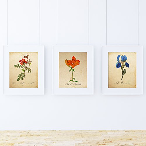 Pack von My Garden blau. Plakate mit Bilder Botanical. Home Decor. Blatt f?r Einrahmung Papier 250?Gramm hohe Qualit?t von Nacnic