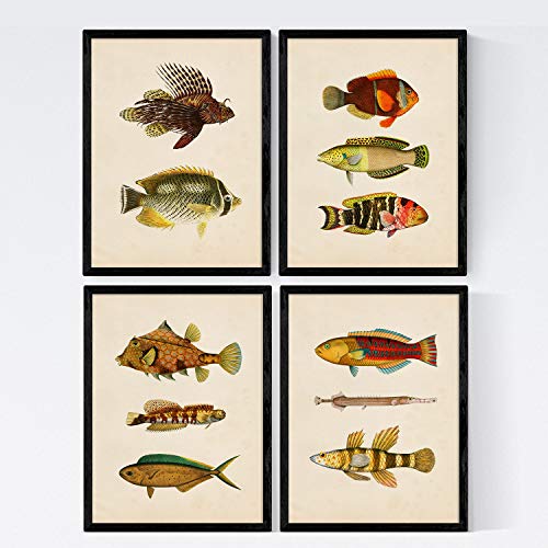 Set 4 Blatt Fisch Jahrgang bunten Effekt. Norden. Zusammensetzung von 11 verschiedenen Fischen in A3-Format, Hintergrund Altpapier Jahrgang Posterpapier 250 gr hohe Qualität. Marco von Nacnic