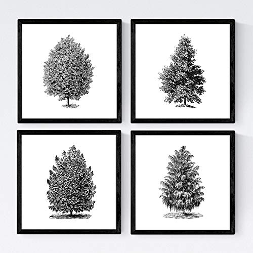 Set von vier Blättern der Bäume. hohe Bäume in 20x20 cm, weiß Poster Papier 250g und qualitativ hochwertige Tinten. Frameless von Nacnic