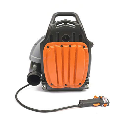 3,6PS Benzinmotor Laubsauger 65CC Laubbläser Rückenlaubbläser Gartenbläser Garten Kehren Laub Bläser Rückenlaubbläser von NadineDutol