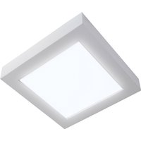 NÄVE LED-Wand-/Deckenleuchte »Simplex«, inkl. Leuchtmittel in neutralweiß - weiss von Näve