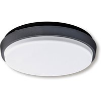 näve Außen-Wandleuchte "LED Außenwandleuchte IP54 "Mio" d:17,5cm", Abstrahlwinkel: 110 von Näve