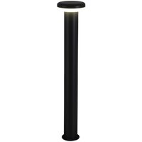 näve LED Sockelleuchte "Pilz", 1 flammig, Leuchtmittel LED-Board LED fest integriert, Außenleuchte, Terrasse, anthrazit, Höhe: 76cm, LED warmweiß näve LED Sockelleuchte "Pilz", 1 flammig, Leuchtmittel LED-Board LED fest integriert, Außenleuchte, Terrasse, anthrazit, Höhe: 76cm, LED warmweiß von Näve