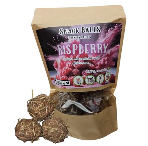 Snack Balls Premium - Raspberry - Premium Snack Balls für Nager, Meerschweinchen und Zwergkaninchen 100% Natur für Deine Fellnasen - Deutsches Qualitätsprodukt ohne versteckte Zutaten - von Nagerfarm