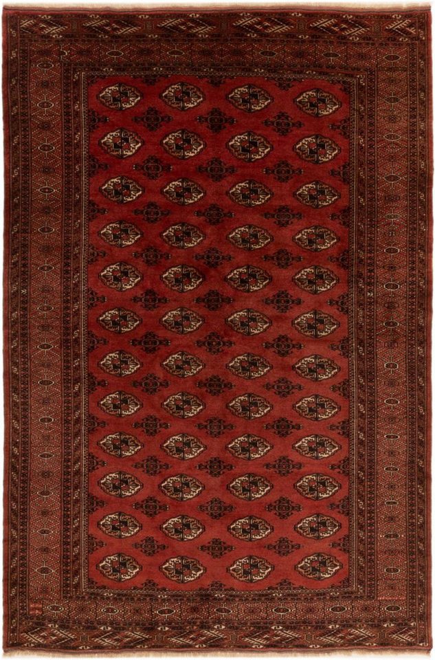 Nain Trading Orientteppich Turkaman 198x290 Handgeknüpfter Orientteppich / Perserteppich, rechteckig, Höhe: 6 mm Nain Trading Orientteppich Turkaman 198x290 Handgeknüpfter Orientteppich / Perserteppich, rechteckig, Höhe: 6 mm von Nain Trading