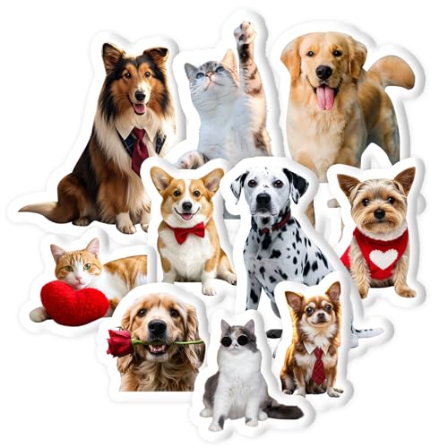 Personalisiertes 3D Haustierkissen Personalisiertes Foto Haustier Kissen Benutzerdefinierte Hund Katze Geformtes Kissen mit Bild, Fotogeschenk für Geburtstag Weihnachten Wohnkultur Geschenke von Naispanda