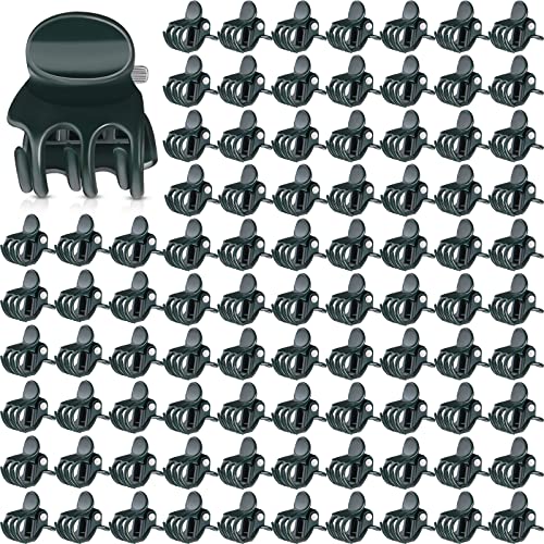 Namalu 120 Stück Orchideen Clips Kunststoff Pflanzen Clips Dunkelgrüne Mini Orchideen Stütz Klammern Garten Blumen Ranken Klammer zum Stützen und Halter von Pflanz 0,7 x 0,6 x 0,6 Zoll von Namalu