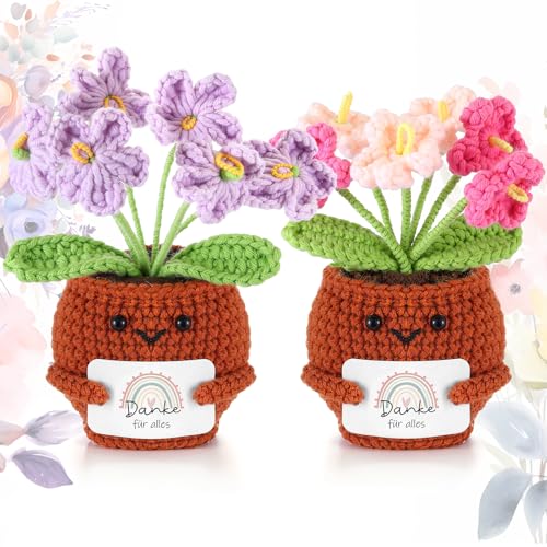 Namalu Dankeschön Geschenk 2er Set Häkel Blumentopf Puppen mit Karte „Danke für Alles“ - Mini Positive Gehäkelte Blumen Geschenk für Lehrer & Kollegen zum Abschied, Geburtstag & Abschluss Namalu Dankeschön Geschenk 2er Set Häkel Blumentopf Puppen mit Karte „Danke für Alles“ - Mini Positive Gehäkelte Blumen Geschenk für Lehrer & Kollegen zum Abschied, Geburtstag & Abschluss von Namalu