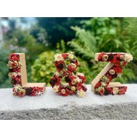Buchstaben Mit Trockenblumen/Individualisierbar von NamoriDesigns