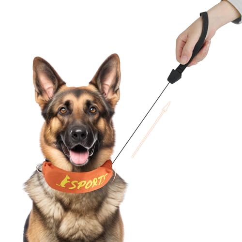 NAMSAN 2-in-1-Hundehalsband mit Rollleine Leine Verstellbares Hundehalsband Eingebaut Ausziehbar Hundeleine mit Griff für Mittlere und Große Hunderassen NAMSAN 2-in-1-Hundehalsband mit Rollleine Leine Verstellbares Hundehalsband Eingebaut Ausziehbar Hundeleine mit Griff für Mittlere und Große Hunderassen von Namsan