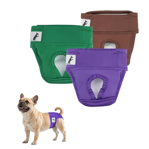NAMSAN Hundewindeln 3 Stück Läufigkeitshose für Hündinnen Hochsaugfähige Perioden Schlüpfer für Hunde Schutzhöschen für Urin Inkontinenz/Untrainierte Welpen, XL von Namsan
