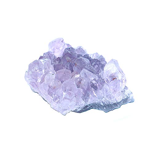 Namvo natürliche Amethyst Heilung Kristall Cluster, Reiki Edelstein Exemplar Figur Home Decor (ca. 10-15g) von Namvo