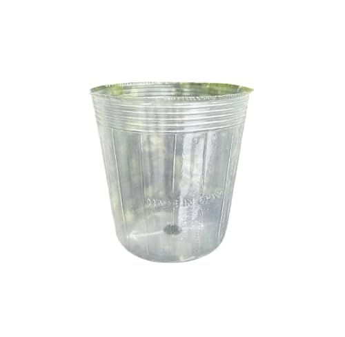 Namzi 10 Stück Schmetterling Orchidee Spezielle Ernährung Cup Orchidee Pflanze Anzucht Topf Dendrobium Sämling Transparent Kunststoff Topf Ernährung Schüssel 15 x 15 cm von Namzi