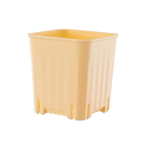 Namzi 10 Stück Sukkulenten Pflanze Sämlinge Kunststoff Blumentopf Gelb Kleines Kaliber Extra Dicker Kleiner Quadratischer Topf Quadratisch Schneiden Sämling Blumentopf Große Größe: 8 x 8,5 cm Namzi 10 Stück Sukkulenten Pflanze Sämlinge Kunststoff Blumentopf Gelb Kleines Kaliber Extra Dicker Kleiner Quadratischer Topf Quadratisch Schneiden Sämling Blumentopf Große Größe: 8 x 8,5 cm von Namzi