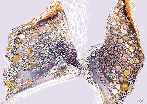 Nancy Wood 'Flutter By' Kunstdruck auf Leinwand,85 x 120 cm von Art Group