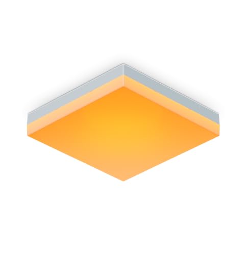 Nanoleaf Skylight Erweiterungs-Kit, 1 zusätzliche LED Deckenleuchte - Smarte Modulare WLAN LED RGBCW Deckenlampe, 16 Mio. Farben, Musik & Bildschirm Sync, Funktioniert mit Apple Home Alexa Google Home von Nanoleaf