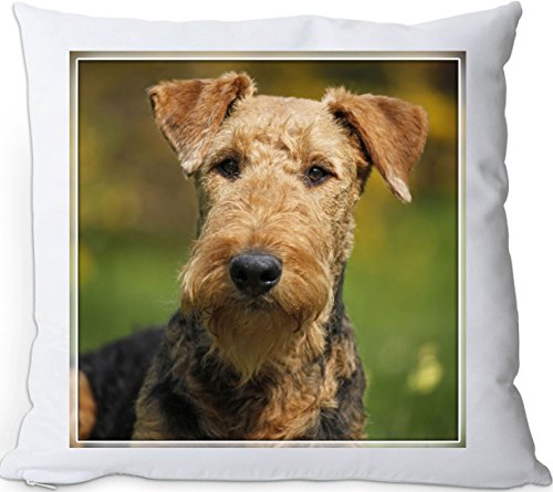 +++ AIREDALE Terrier - Kissen KUSCHELKISSEN seidig weich 35x35 Dekokissen - AIT 22 von Nanyuk