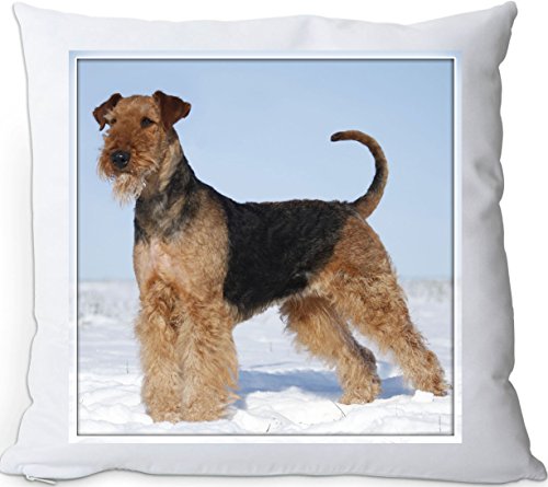 +++ AIREDALE Terrier - Kissen KUSCHELKISSEN seidig weich 35x35 Dekokissen - AIT 36 von Nanyuk