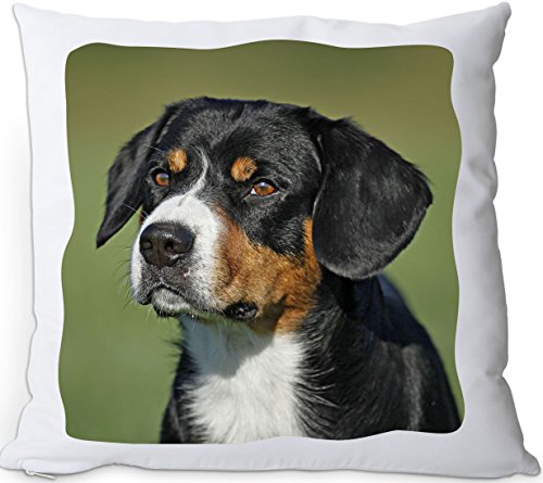 +++ APPENZELLER SENNENHUND - Kuschelkissen/KISSEN | PILLOW/Kussen - AZS 01 von Nanyuk