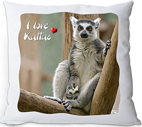 Nanyuk +++ AFFE KATTA - Kuschelkissen/Kissen | Pillow/Kussen - AFE 07 Nanyuk +++ AFFE KATTA - Kuschelkissen/Kissen | Pillow/Kussen - AFE 07 von Nanyuk