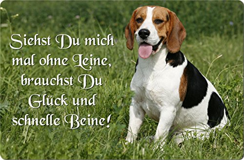 Nanyuk +++ Beagle - Metall Warnschild Schild Hundeschild Sign - BGL 16 T12 Nanyuk +++ Beagle - Metall Warnschild Schild Hundeschild Sign - BGL 16 T12 von Nanyuk