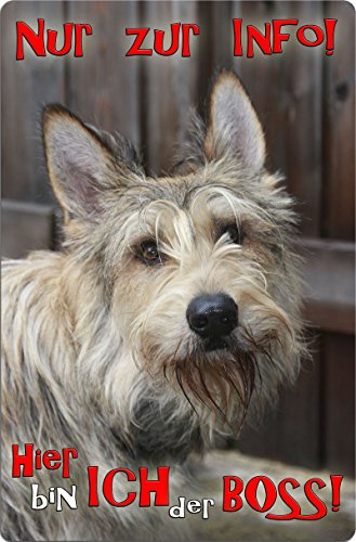 +++ BERGER PICARD De Picardie - Metall WARNSCHILD Schild Hundeschild Sign - PIC 09 T7 von Nanyuk