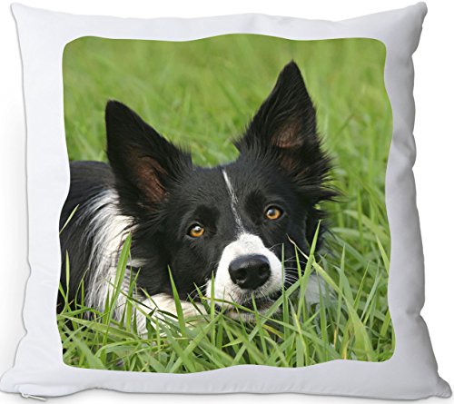 +++ BORDER COLLIE - Kuschelkissen/KISSEN | PILLOW/Kussen - BOC 01 von Nanyuk