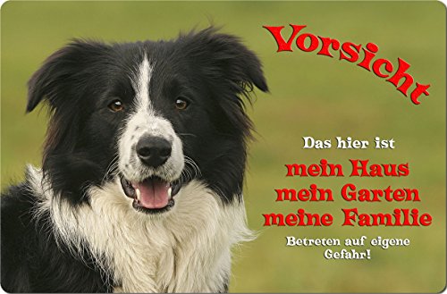 +++ BORDER COLLIE - Metall WARNSCHILD Schild Hundeschild Sign - BOC 15 T1 von Nanyuk