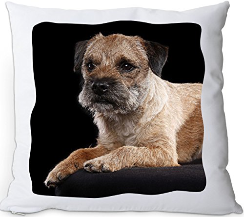 +++ BORDER TERRIER - Kuschelkissen/KISSEN | PILLOW/Kussen - BOT 02 von Nanyuk