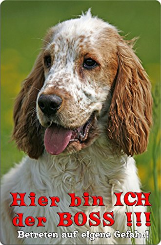 +++ COCKER Spaniel - Metall WARNSCHILD Schild Hundeschild Sign - CKS 05 T7 von Nanyuk