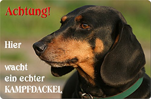 +++ DACKEL Teckel Dachshund - Metall WARNSCHILD Schild Hundeschild Sign - DCK 09 T55 von Nanyuk