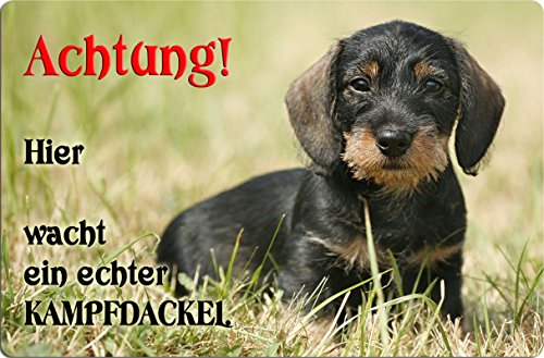+++ DACKEL Teckel Dachshund - Metall WARNSCHILD Schild Hundeschild Sign - DCK 23 T55 von Nanyuk