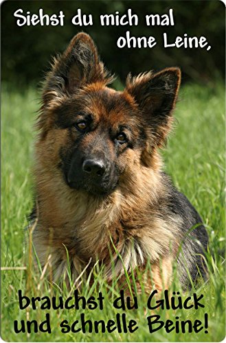 Nanyuk +++ Deutscher SCHÄFERHUND - Metall Warnschild Schild Hundeschild Sign - DSH 36 T12 Nanyuk +++ Deutscher SCHÄFERHUND - Metall Warnschild Schild Hundeschild Sign - DSH 36 T12 von Nanyuk