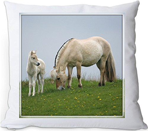 +++ FJORD Fjordpferd Norweger Pferd - Kuschelkissen/KISSEN | PILLOW/Dekokissen - FJO 43 von Nanyuk