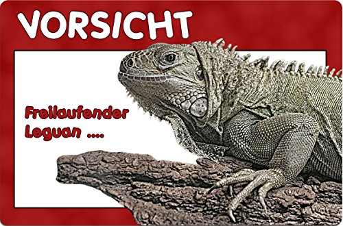 +++ GRÜNER LEGUAN Reptil - METALL WARNSCHILD SCHILD TÜRSCHILD SIGN - REP 02 von Nanyuk