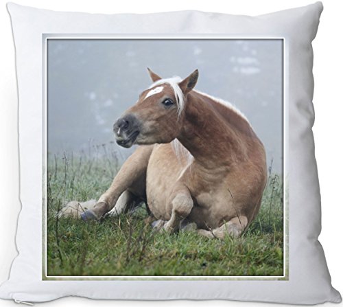 +++ HAFLINGER Pferd - Kuschelkissen/KISSEN | PILLOW/Dekokissen - HFL 40 von Nanyuk