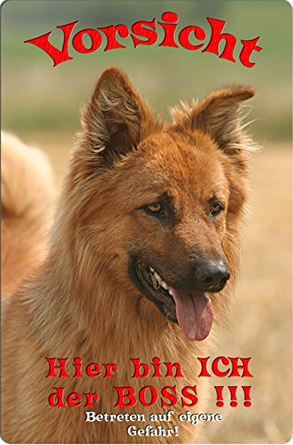 Nanyuk +++ HARZER Fuchs - Metall Warnschild Schild Hundeschild Sign - HZF 08 T7 Nanyuk +++ HARZER Fuchs - Metall Warnschild Schild Hundeschild Sign - HZF 08 T7 von Nanyuk