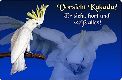 +++ KAKADU Vogel - METALL WARNSCHILD SCHILD TÜRSCHILD SIGN - VOG 03 von Nanyuk