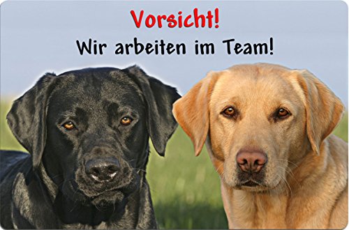 Nanyuk +++ Labrador Retriever - Metall Warnschild Schild Hundeschild Sign - LAB 23 T16 BLO S von Nanyuk